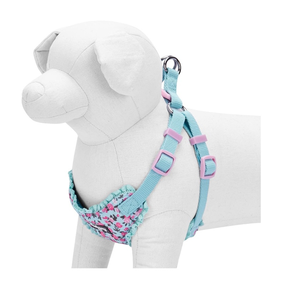 Dog harness and Leash!!!